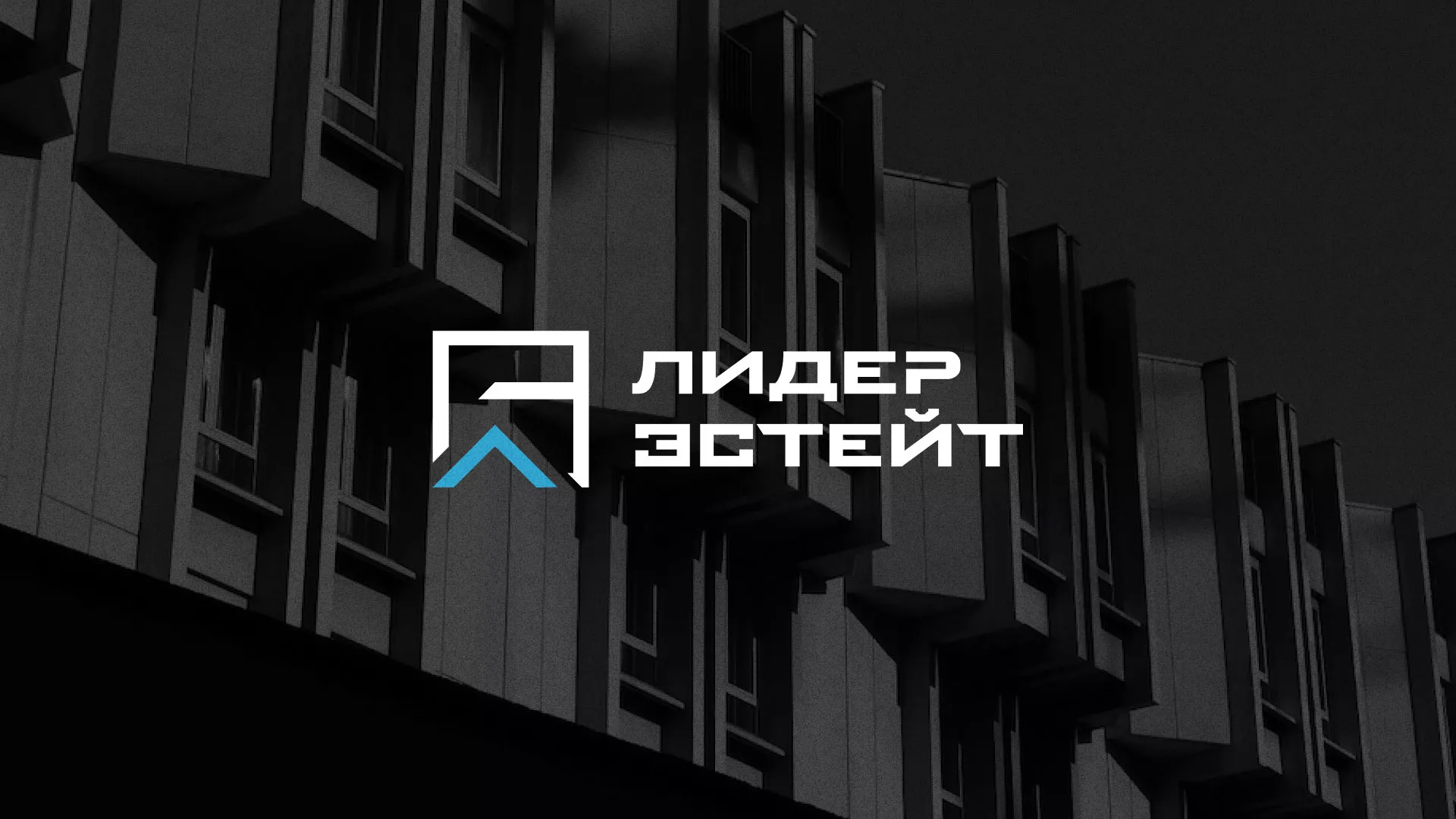Разработка логотипа агентства недвижимости «Лидер Эстейт» в Конаково